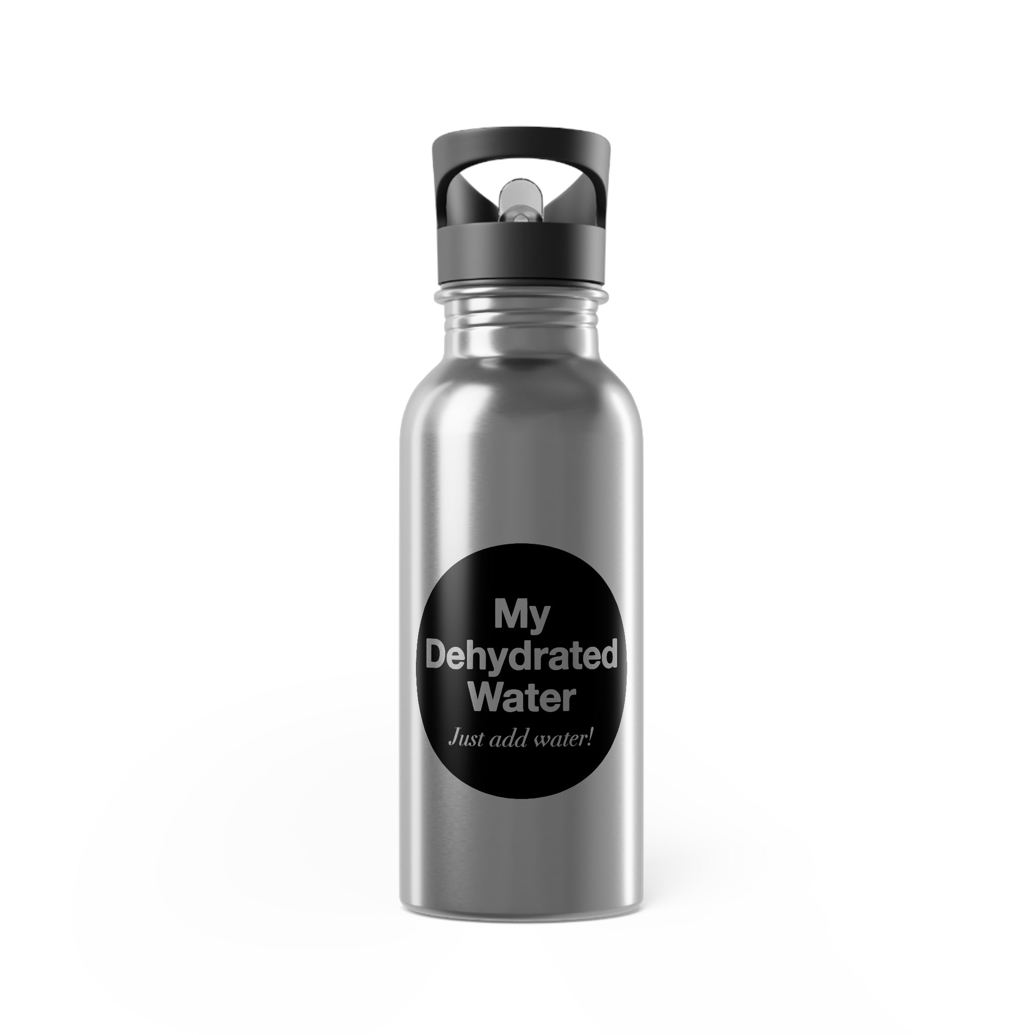 MY DEHYDRATED WATER Stainless Steel Water Bottle With Straw, 20oz